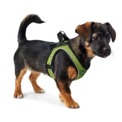 New NY Hilo Comfort hundesele M lime mave/bryst 58-65 cm - Let komfort og stabil pasform Hvalpeseler - Bløde Justerbare Seler Der Giver Din Hvalp Tryghed Og Støtte På Turen|Hundeseler Til Alle Behov Og Hundestørrelser