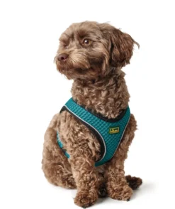 Best NY Hilo Comfort hundesele XXS turkis mave/bryst 31-33 cm - Ultralet komfort til små hunde Hvalpeseler - Bløde Justerbare Seler Der Giver Din Hvalp Tryghed Og Støtte På Turen|Hundeseler Til Alle Behov Og Hundestørrelser