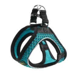 Best NY Hilo Comfort hundesele XXS turkis mave/bryst 31-33 cm - Ultralet komfort til små hunde Hvalpeseler - Bløde Justerbare Seler Der Giver Din Hvalp Tryghed Og Støtte På Turen|Hundeseler Til Alle Behov Og Hundestørrelser