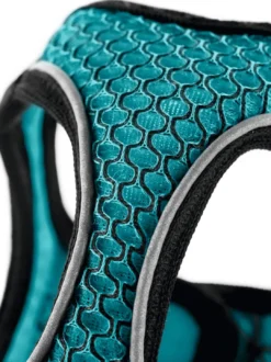 Online NY Hilo Comfort hundesele XS turkis mave/bryst 36-40 cm - Let komfort og fri bevægelse Hvalpeseler - Bløde Justerbare Seler Der Giver Din Hvalp Tryghed Og Støtte På Turen|Hundeseler Til Alle Behov Og Hundestørrelser