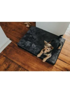 Discount ortopædisk hundemadras Tirano M 80x60x8 cm i sort og grå Hundesenge Og Kurve Til Hunde - Bløde Og Komfortable|Sovepladser Til Hvalpe - Hundesenge, Kølemåtter Og Trygge Hvilesteder