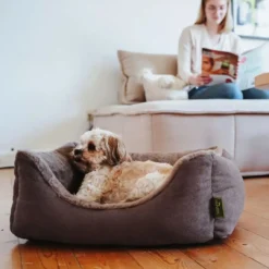 Clearance ortopædisk hundeseng Rockford Small 60 x 40 cm Brun Hundesenge Og Kurve Til Hunde - Bløde Og Komfortable|Sovepladser Til Hvalpe - Hundesenge, Kølemåtter Og Trygge Hvilesteder