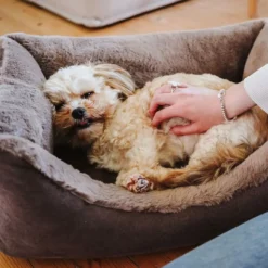 Online ortopædisk hundeseng Rockford Large 100 x 70 cm Brun Hundesenge Og Kurve Til Hunde - Bløde Og Komfortable|Sovepladser Til Hvalpe - Hundesenge, Kølemåtter Og Trygge Hvilesteder