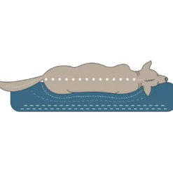 Outlet ortopædisk hundesofa Livingston Medium 80 x 60 cm Antracit Hundesenge Og Kurve Til Hunde - Bløde Og Komfortable|Sovepladser Til Hvalpe - Hundesenge, Kølemåtter Og Trygge Hvilesteder