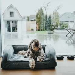 Outlet ortopædisk hundesofa Livingston Medium 80 x 60 cm Antracit Hundesenge Og Kurve Til Hunde - Bløde Og Komfortable|Sovepladser Til Hvalpe - Hundesenge, Kølemåtter Og Trygge Hvilesteder