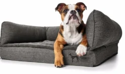 Outlet ortopædisk hundesofa Livingston Medium 80 x 60 cm Antracit Hundesenge Og Kurve Til Hunde - Bløde Og Komfortable|Sovepladser Til Hvalpe - Hundesenge, Kølemåtter Og Trygge Hvilesteder