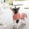 Online Röglatrøje 30 Rosa Hundetøj Til Hvalpe - Varme Dækkener Og Sko Til Trygge Gåture|Hundetøj Til Alle Hunde Med Varme Dækkener Og Sko