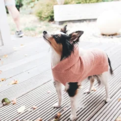 Online Röglatrøje 30 Rosa Hundetøj Til Hvalpe - Varme Dækkener Og Sko Til Trygge Gåture|Hundetøj Til Alle Hunde Med Varme Dækkener Og Sko