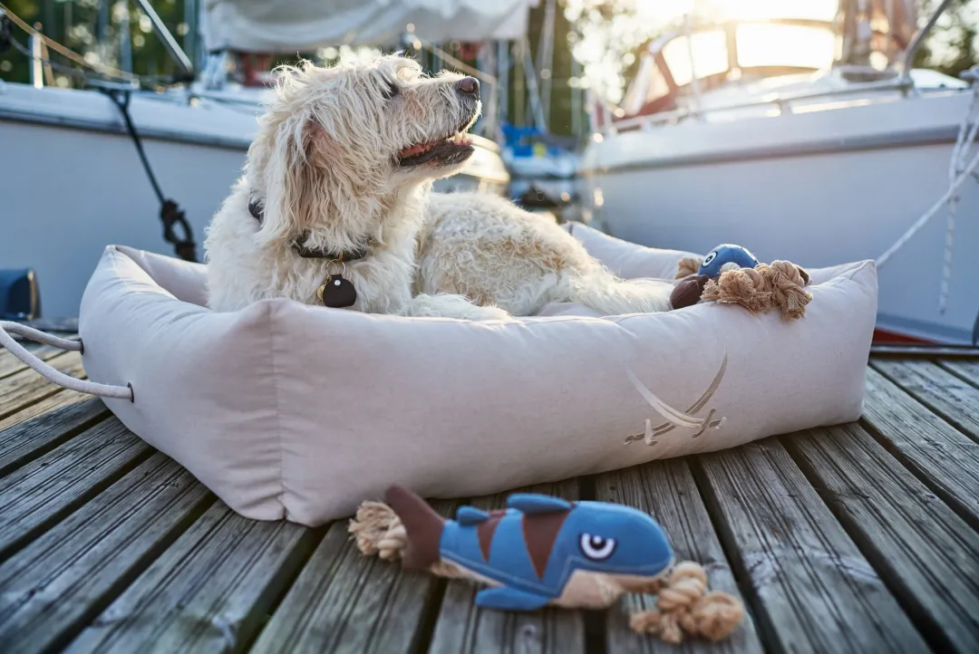 Sansibar Solid 35 Hundehalsbånd i læder - 24-30 cm Hvalpehalsbånd - Bløde Og Sikre Halsbånd Med Perfekt Pasform Til Din Hvalp|Hundehalsbånd Med Stil - Komfort Og Sikkerhed Til Din Hund