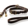 New Sansibar Solid 60 Hundehalsbånd i læder - 48-54 cm Hvalpehalsbånd - Bløde Og Sikre Halsbånd Med Perfekt Pasform Til Din Hvalp|Hundehalsbånd Med Stil - Komfort Og Sikkerhed Til Din Hund