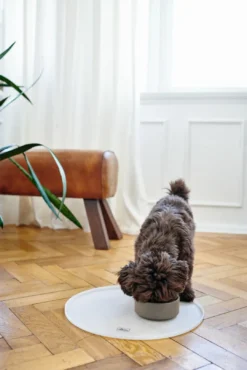Outlet skål Osby 550 ml Taupe Hundeskåle Til Mad Og Drikke Der Passer Til Din Hunds Behov|Hundeskåle Til Hvalpe - Praktisk, Sikker Og Nem Spisetid