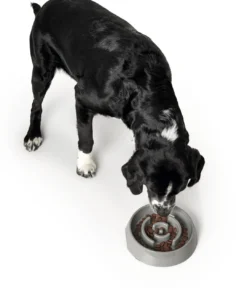 Slow Feeding 550 ml Grå Hundeskåle Til Mad Og Drikke Der Passer Til Din Hunds Behov|Hundeskåle Til Hvalpe - Praktisk, Sikker Og Nem Spisetid