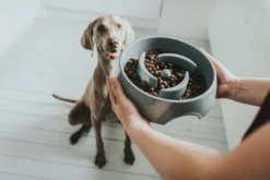 Slow Feeding 550 ml Grå Hundeskåle Til Mad Og Drikke Der Passer Til Din Hunds Behov|Hundeskåle Til Hvalpe - Praktisk, Sikker Og Nem Spisetid