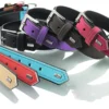 Outlet Softie hundehalsbånd brun 35 cm - 23-29 cm indstilling Hvalpehalsbånd - Bløde Og Sikre Halsbånd Med Perfekt Pasform Til Din Hvalp|Hundehalsbånd Med Stil - Komfort Og Sikkerhed Til Din Hund