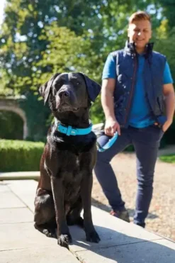 Hot Softie hundehalsbånd 50 cm brun - 36-44 cm indstilling Hvalpehalsbånd - Bløde Og Sikre Halsbånd Med Perfekt Pasform Til Din Hvalp|Hundehalsbånd Med Stil - Komfort Og Sikkerhed Til Din Hund