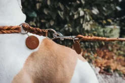 Outlet Solid Education Line 18/250 Cognac Hundesnor I Mange Varianter Og Materialer|Hundesnor Til Hvalpe