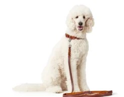 Online Solid Education Line 18/200 Cognac Hundesnor I Mange Varianter Og Materialer|Hundesnor Til Hvalpe