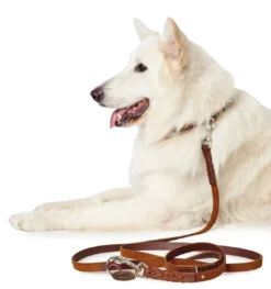 Online Solid Education Line 18/200 Cognac Hundesnor I Mange Varianter Og Materialer|Hundesnor Til Hvalpe