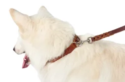 Solid Education Line 13/250 Cognac Hundesnor I Mange Varianter Og Materialer|Hundesnor Til Hvalpe