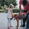 Outlet Svømmevest Large Hundetøj Til Hvalpe - Varme Dækkener Og Sko Til Trygge Gåture|Hundetøj Til Alle Hunde Med Varme Dækkener Og Sko