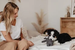 New Tirana Bjørn S - bamse til små hunde Hundelegetøj Til Alle Hunde Leg Og Aktivering Året Rundt|Legetøj Til Hvalpe - Sjov Leg, Aktivering Og Tryghed Fra Første Dag