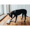 Best Tirana Lama M - bamse til mellemstore hunde Hundelegetøj Til Alle Hunde Leg Og Aktivering Året Rundt|Legetøj Til Hvalpe - Sjov Leg, Aktivering Og Tryghed Fra Første Dag