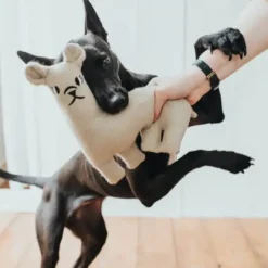 Best Tirana Lama M - bamse til mellemstore hunde Hundelegetøj Til Alle Hunde Leg Og Aktivering Året Rundt|Legetøj Til Hvalpe - Sjov Leg, Aktivering Og Tryghed Fra Første Dag