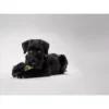 Sale Training Snack Dummy Sort M - træningslegetøj til hunde Hundelegetøj Til Alle Hunde Leg Og Aktivering Året Rundt|Legetøj Til Hvalpe - Sjov Leg, Aktivering Og Tryghed Fra Første Dag