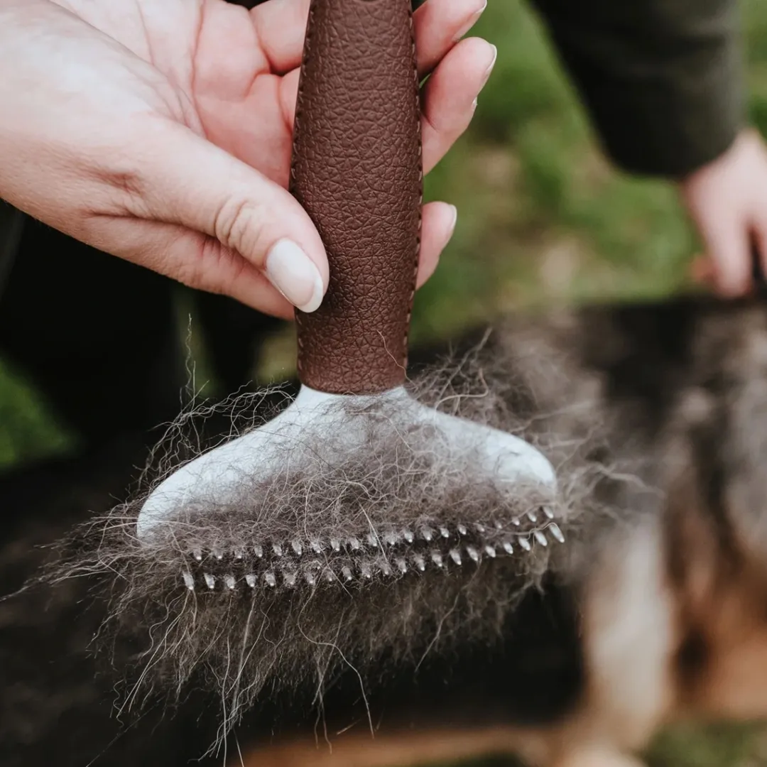 Outlet Udfiltringskam 2 rækker Plejemidler Til Hund Med Fokus På Sundhed Og Velvære|Pleje Af Hvalpe - Alt I Plejemidler Til Pels, Poter Og Hud