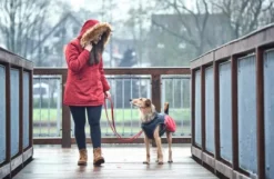 Hot Uppsala COZY Hundefrakke Rød-Sort 35 cm Hundetøj Til Hvalpe - Varme Dækkener Og Sko Til Trygge Gåture|Hundetøj Til Alle Hunde Med Varme Dækkener Og Sko