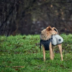 New Uppsala Hundefrakke Grå 60 Hundetøj Til Hvalpe - Varme Dækkener Og Sko Til Trygge Gåture|Hundetøj Til Alle Hunde Med Varme Dækkener Og Sko