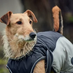 Online Uppsala Hundefrakke Grå 55 cm Hundetøj Til Hvalpe - Varme Dækkener Og Sko Til Trygge Gåture|Hundetøj Til Alle Hunde Med Varme Dækkener Og Sko