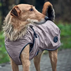 Discount Uppsala Hundefrakke 2i1 str. 40 brun Hundetøj Til Hvalpe - Varme Dækkener Og Sko Til Trygge Gåture|Hundetøj Til Alle Hunde Med Varme Dækkener Og Sko