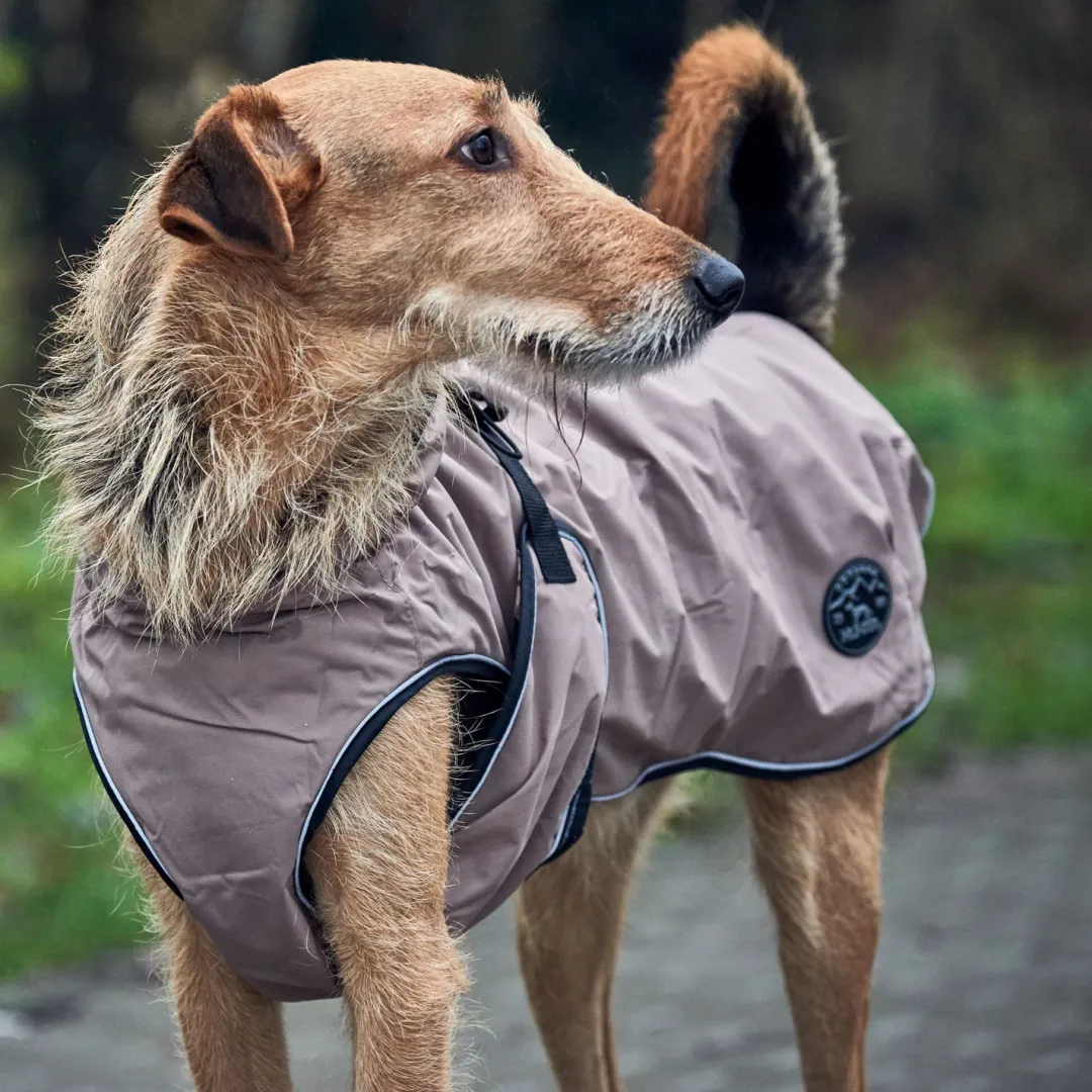Clearance Uppsala Hundefrakke 2i1 str. 65 brun Hundetøj Til Hvalpe - Varme Dækkener Og Sko Til Trygge Gåture|Hundetøj Til Alle Hunde Med Varme Dækkener Og Sko