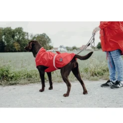 Sale Uppsala Regnfrakke Rød 75 cm Hundetøj Til Hvalpe - Varme Dækkener Og Sko Til Trygge Gåture|Hundetøj Til Alle Hunde Med Varme Dækkener Og Sko