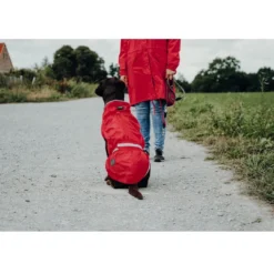 Discount Uppsala Regnfrakke Rød 80 cm Hundetøj Til Hvalpe - Varme Dækkener Og Sko Til Trygge Gåture|Hundetøj Til Alle Hunde Med Varme Dækkener Og Sko