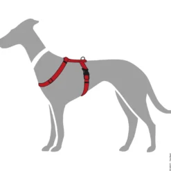Best Vario Rapid hundesele Rød XXS hals 25-40 cm - let og synlig komfort Hvalpeseler - Bløde Justerbare Seler Der Giver Din Hvalp Tryghed Og Støtte På Turen|Hundeseler Til Alle Behov Og Hundestørrelser