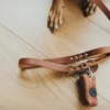 New Yuna høm høm holder Cognac Hundetilbehør Til Hvalpe - Tryg Start I Hverdagen|Tilbehør Til Hund - Alt Til En Glad Og Tryg Hverdag For Din Bedste Ven
