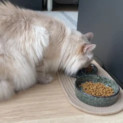 Outlet Jasper Green Marble Ø 13,5 cm 200 ml Mad- Og Vandskåle Til Katte|Hundeskåle Til Mad Og Drikke Der Passer Til Din Hunds Behov