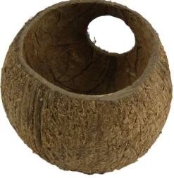 Sale Cocos Cava 3/4 hule Huler Til Terrarier