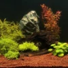 Sale Manado 5 liter Bundsubstrat til Planter Aquascaping|Akvarieplanter