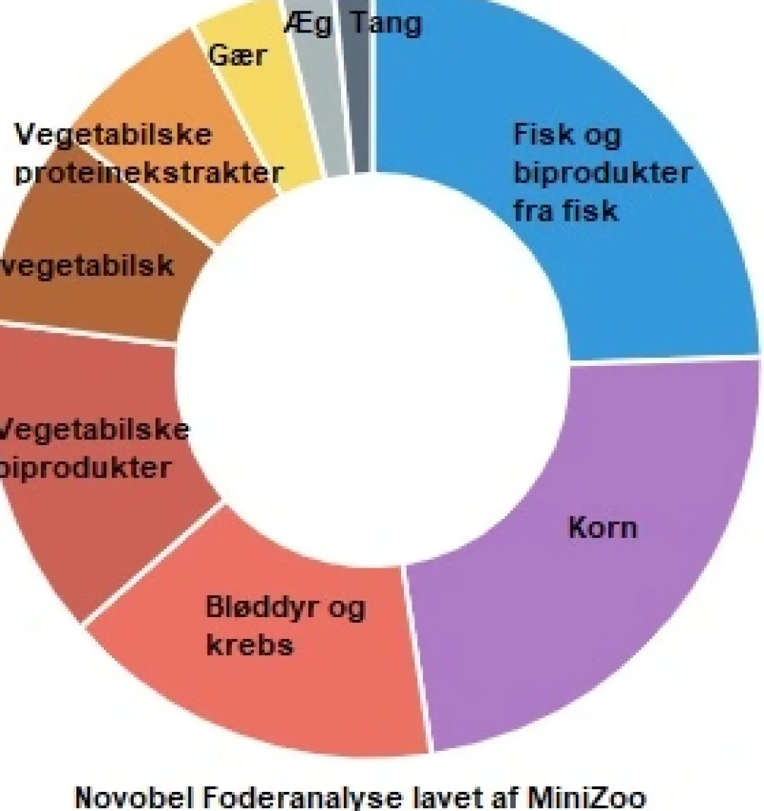 Outlet ProNovo Bel fiskefoder 250 ml Flagefoder Fiskefoder Til Ferskvandsfisk