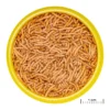 ProNovo Betta Insektsticks S 100 ml Fiskefoder Til Ferskvandsfisk