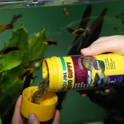 Discount ProNovo Guppy Flakes 250 ml Fiskefoder Til Ferskvandsfisk