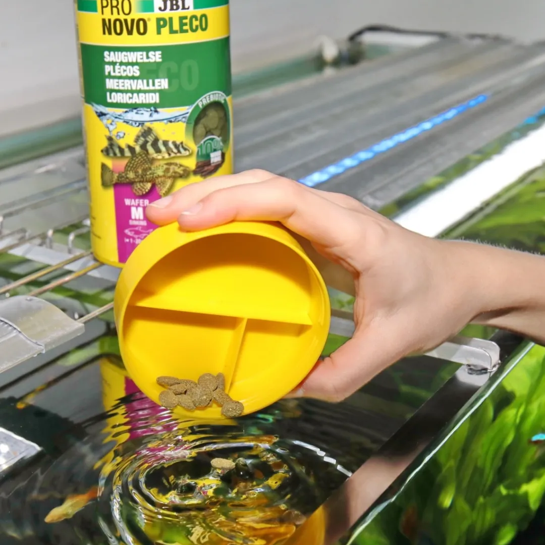 Online Pronovo Pleco Wafer M 100 ml Fiskefoder Til Ferskvandsfisk