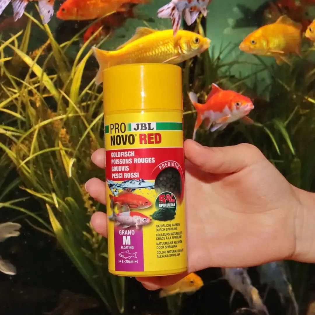 Clearance ProNovo Red Grano M Guldfiskefoder 250 ml Fiskefoder Til Ferskvandsfisk