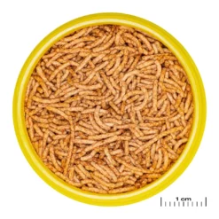 Best ProNovo Red Insect S 100 ml Click Fiskefoder Til Ferskvandsfisk