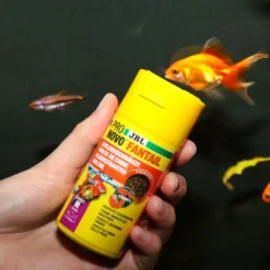 New ProNovo Slørhale Foderpille Grano M 250 ml Click Fiskefoder Til Ferskvandsfisk