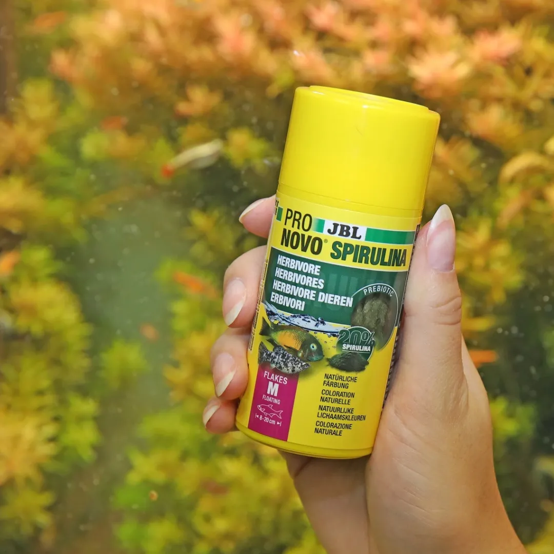 Sale ProNovo Spirulina Flakes Medium 250 ml Fiskefoder Til Ferskvandsfisk