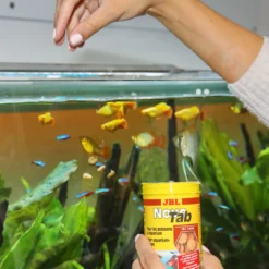 Discount ProNovo Tab M 1000 ml Fiskefoder Til Ferskvandsfisk